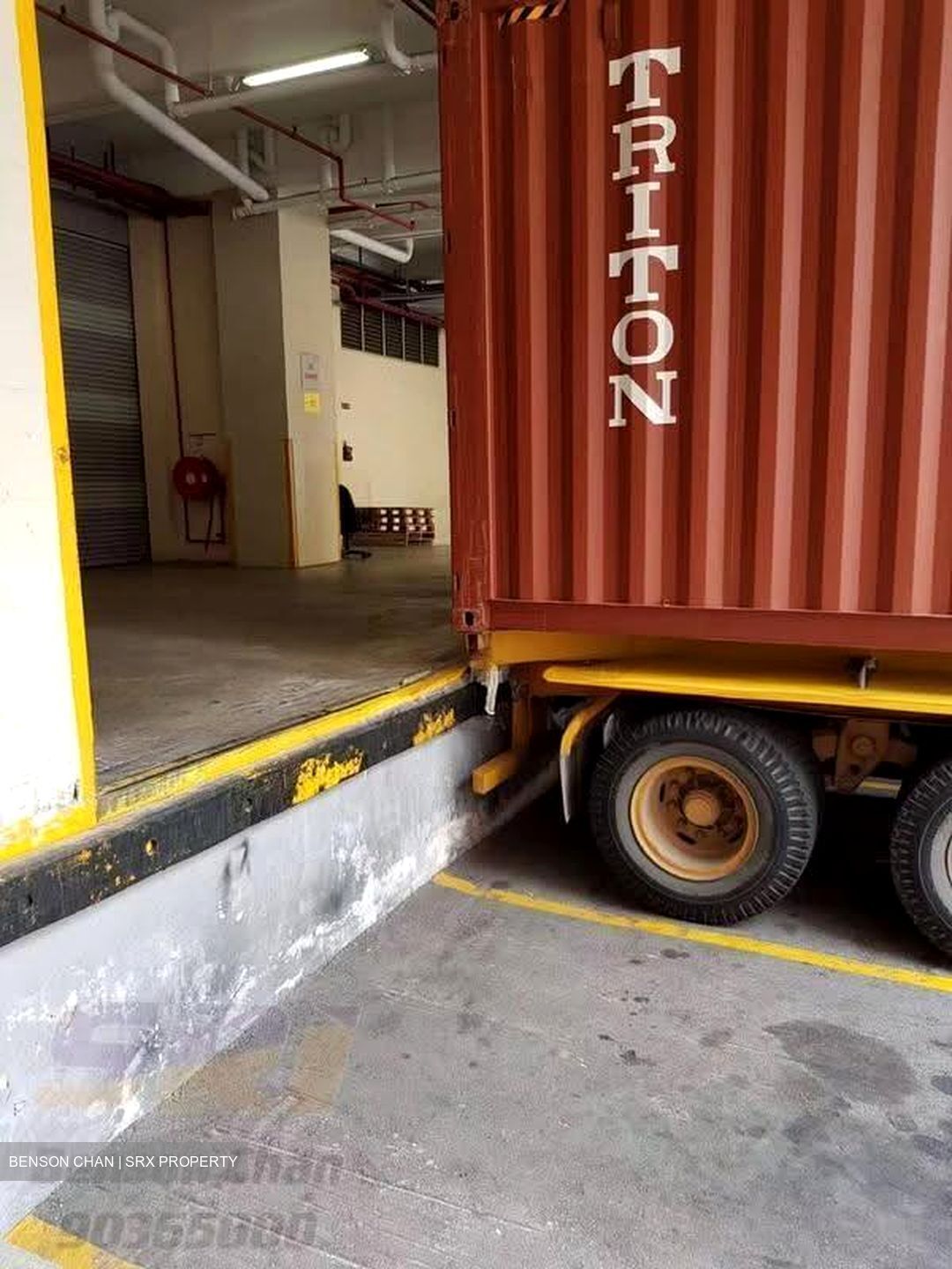 Perfect One (D13), Warehouse #639394011